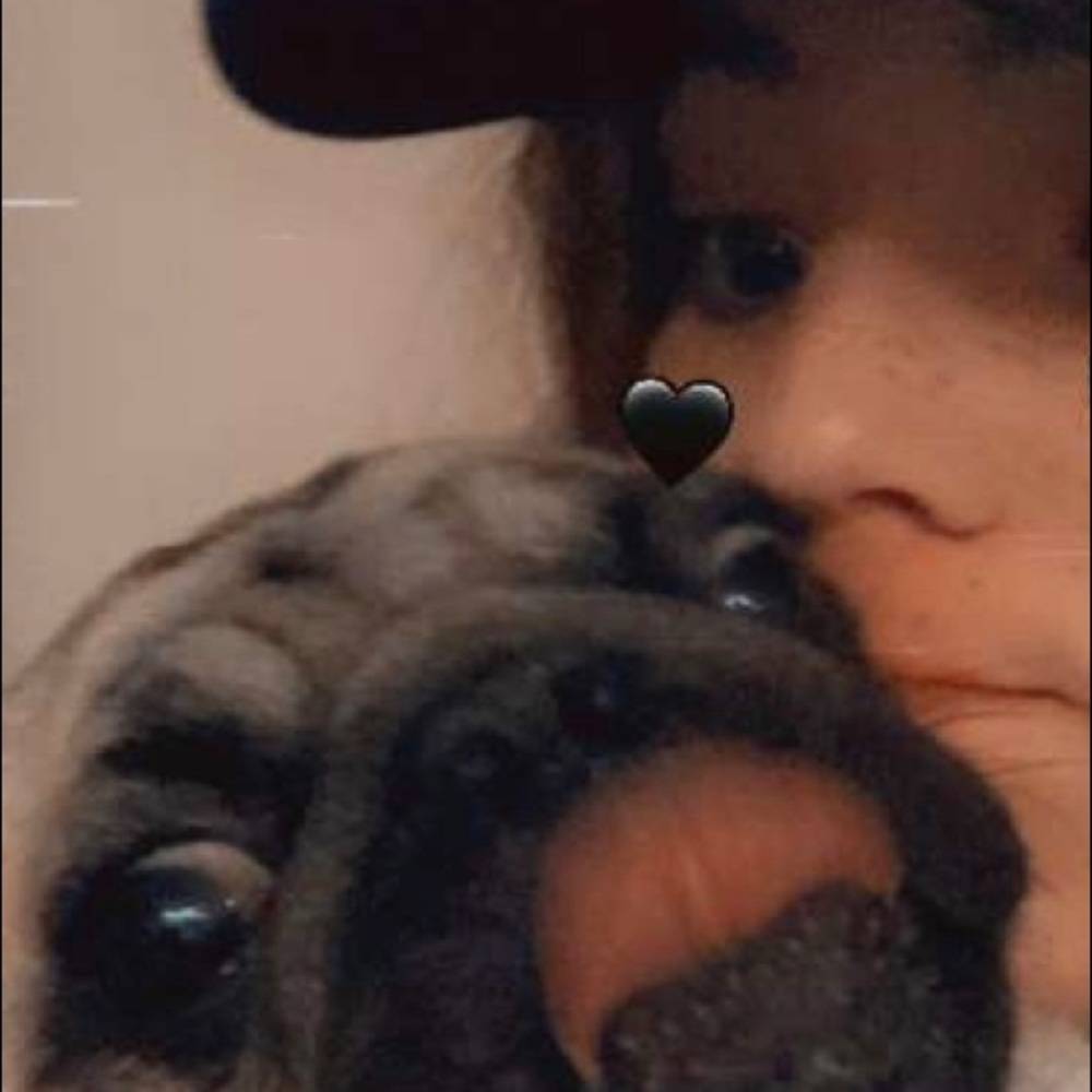 Meet your Posher, Bella